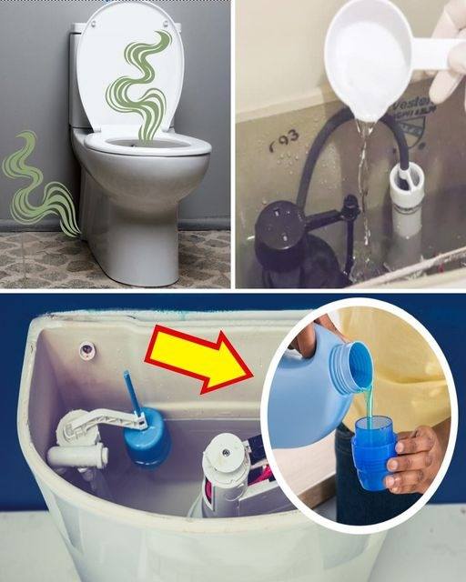 5 Tips to Eliminate Urine Odors from the Bathroom