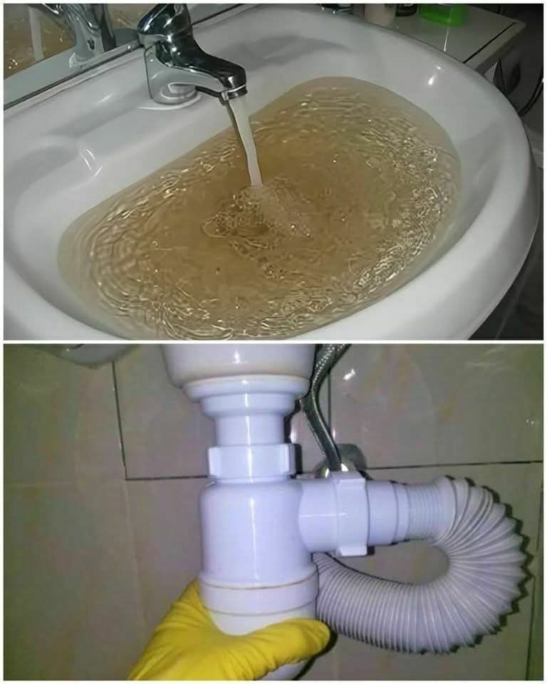 The water drains quickly, you don’t need a plumber. You forget forever about the clogs and bad smell in the kitchen sink