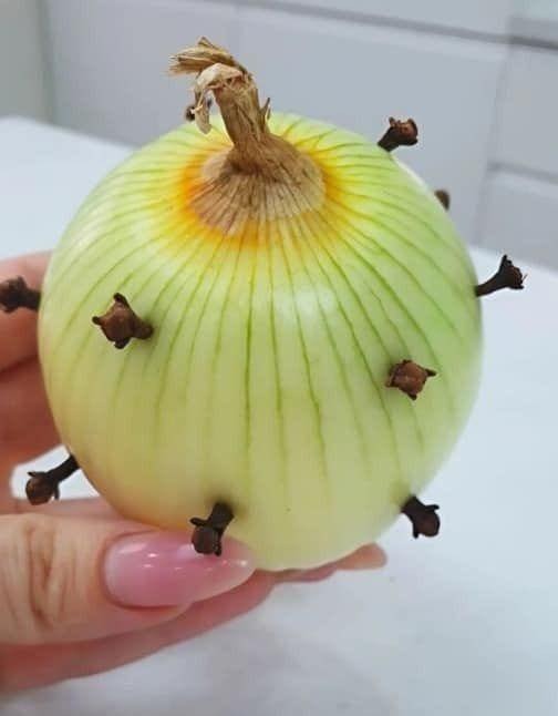 Why My Grandmother Always Puts Cloves in Onions