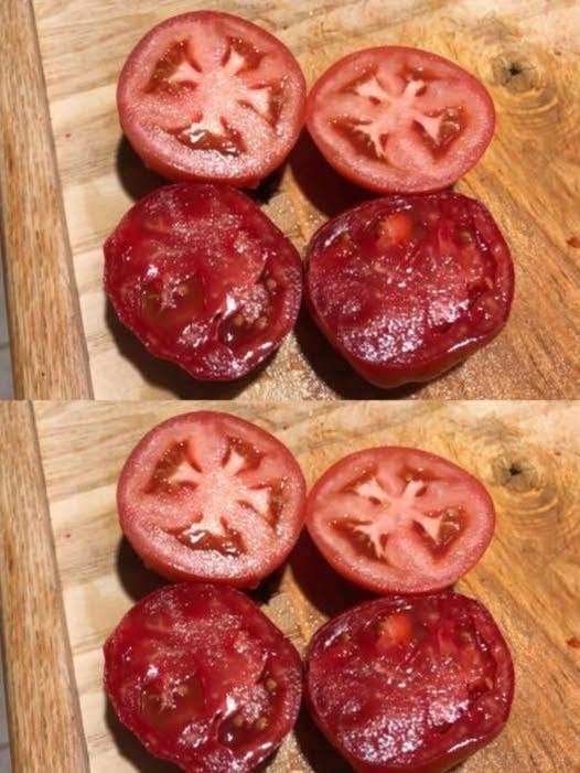 How to Store Tomatoes for Maximum Freshness – The Right Way!