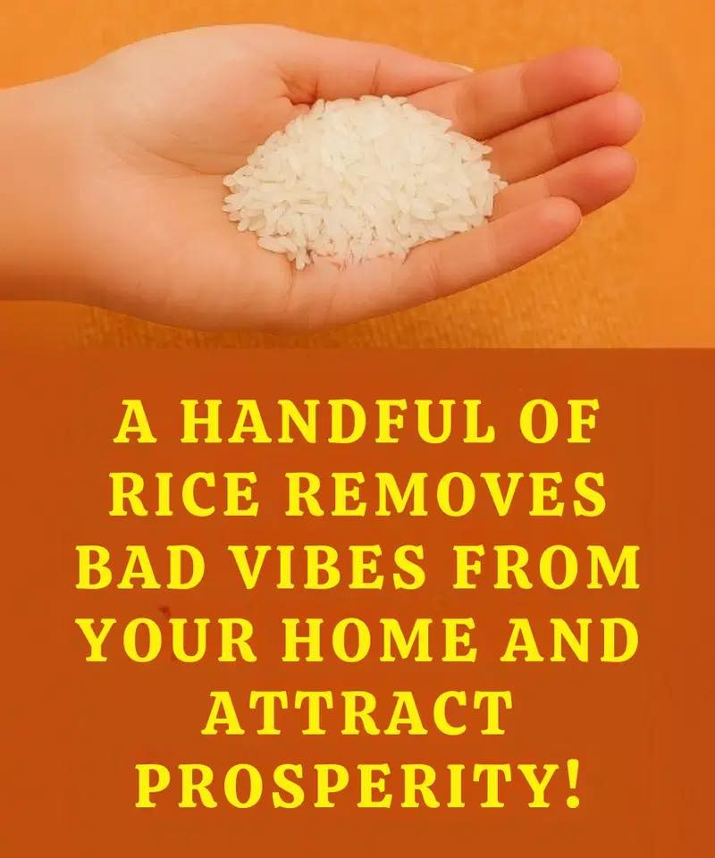 The surprising power of rice: a hidden ally in your home