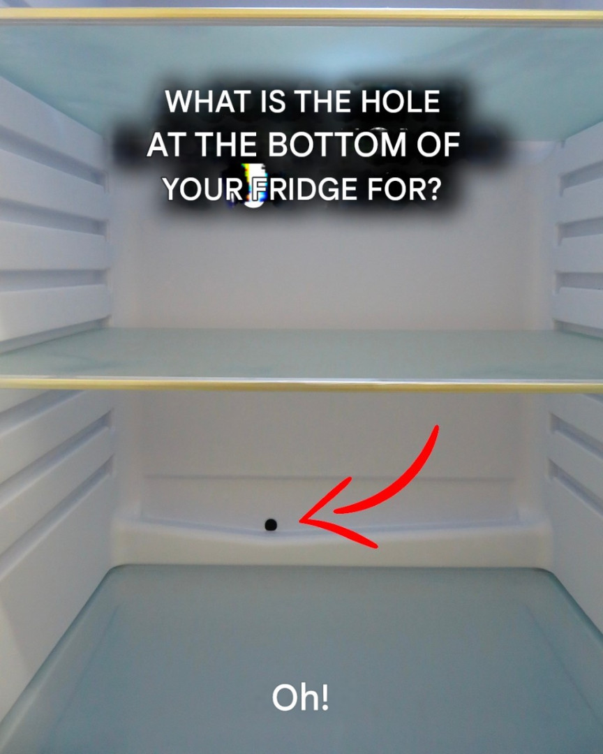 Hole in the bottom of the refrigerator: what it is and how to clean it perfectly