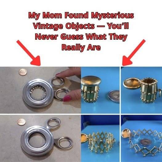 My Mom Discovered Some Strange Little Vintage Objects at Home — Any Idea What They Could Be?