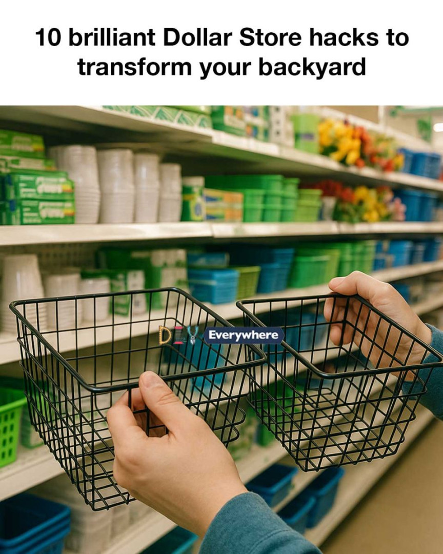 10 brilliant Dollar Store hacks to transform your backyard