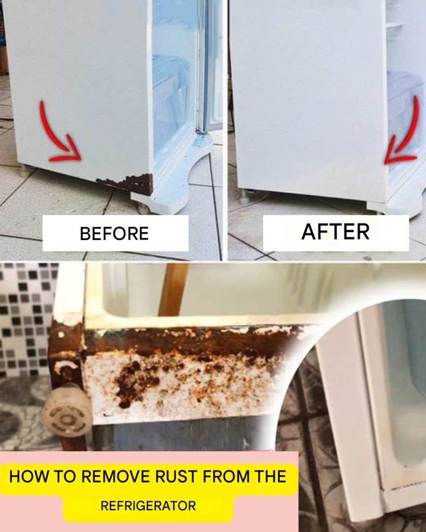 Secret revealed: how to get rid of rust in the refrigerator or appliances and save money.