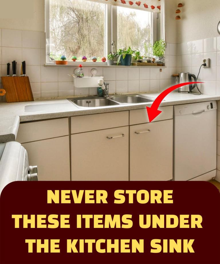 5 Items You Should Never Put Under The Sink In Your Kitchen