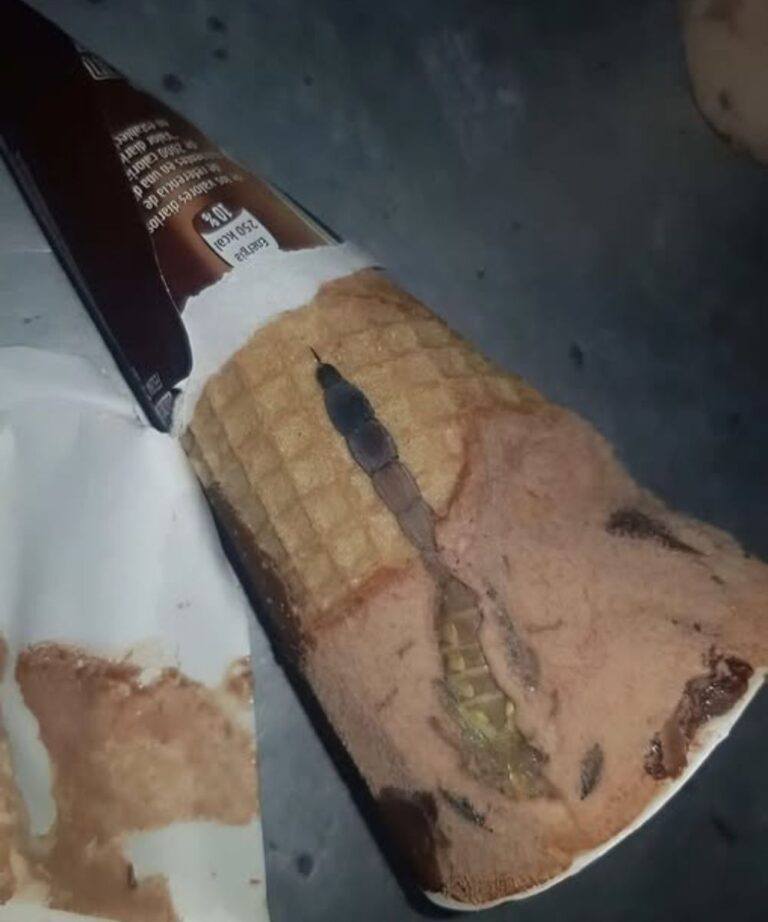 My daughter opened a bag of chocolate ice cream and found something strange inside: we were surprised when we realized what it was.