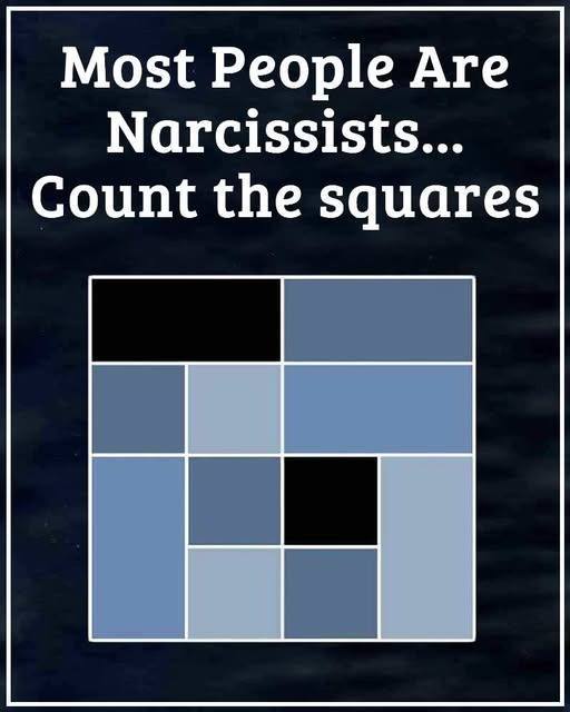 The Narcissism Puzzle: Counting Squares and Self-Reflection