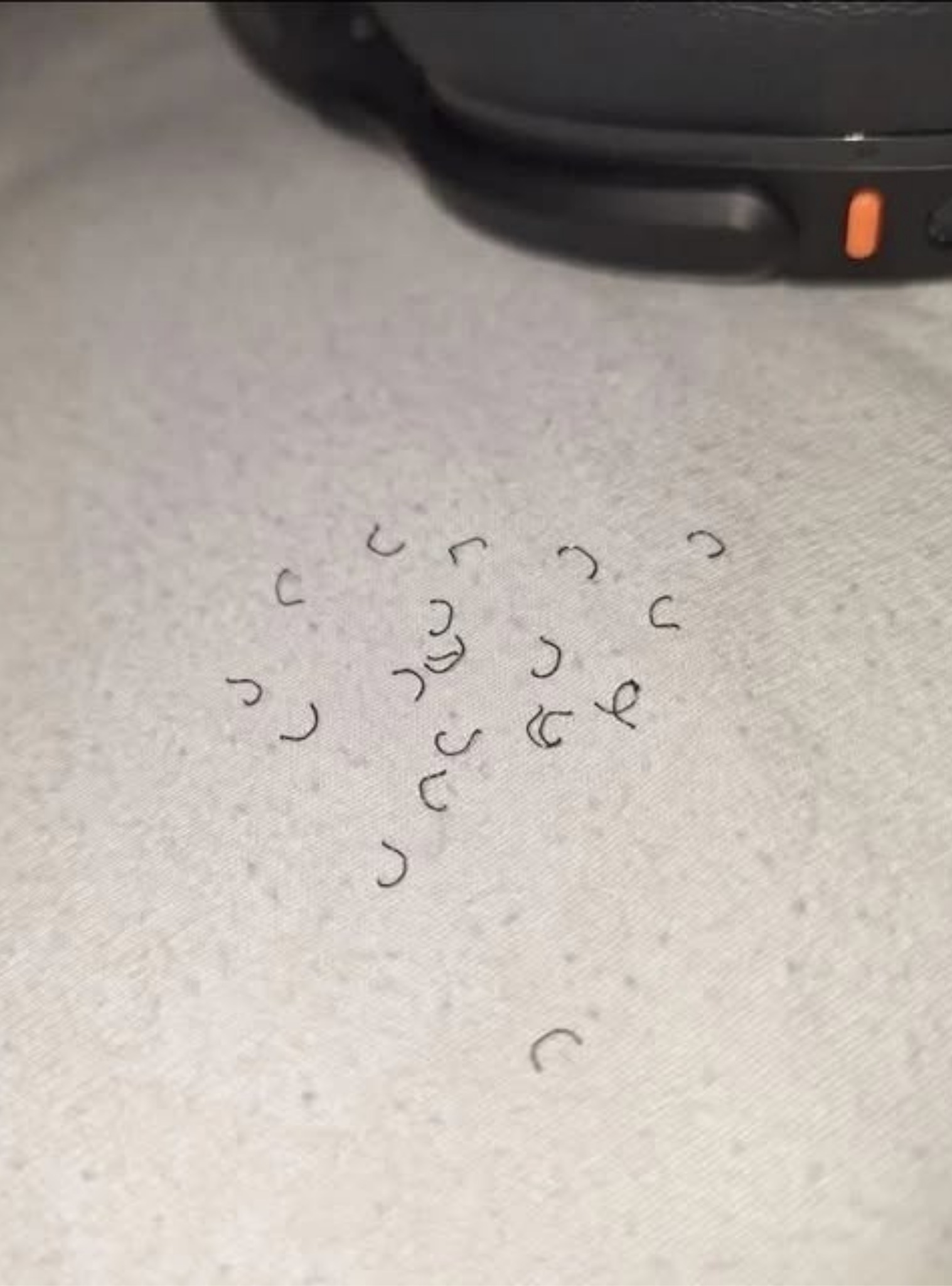 Woke Up to This on Your Bed? The Truth Will Sh0ck You!