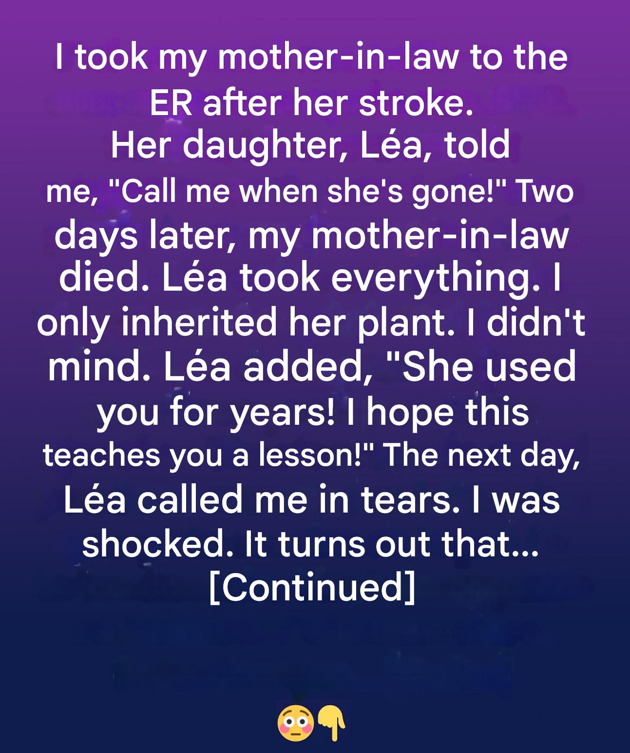 An unexpected heirloom: the hidden value of a humble flowerpot